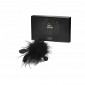 Pom Pom