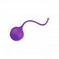 Aubergine