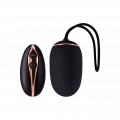 Luxury Power Remote Bullet