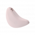 Palm