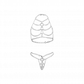 Massiver Kettenbikini