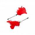 Rot