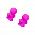 Nipple Sucker