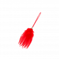 Rot