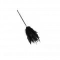 Schwarz