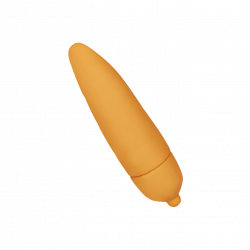 Möhren-Minivibrator