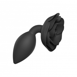 Open Roses L, 13cm