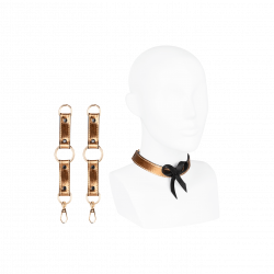 Set mit Halsband und Handschellen