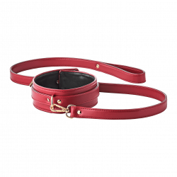 Blaze - Elite Collar and Leash