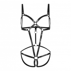 Sexy Leder-Geschirr