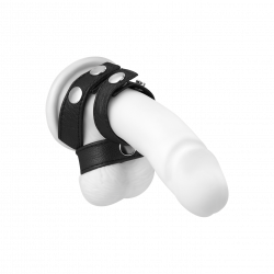 Verstellbarer Penis-Hoden-Gurt