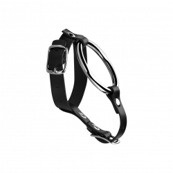 Penis-Hoden-Gurt mit Ring, 4 cm