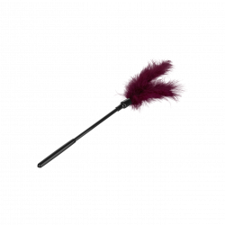 Small Feather Tickler
