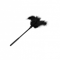 Small Feather Tickler