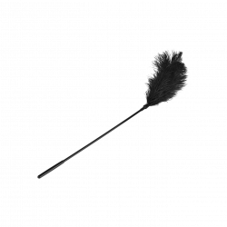 Large Feather Tickler