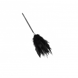 Black & Red Feather